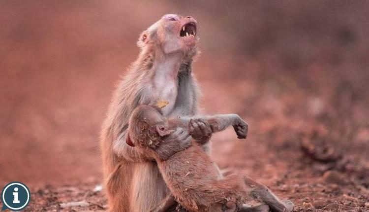 Fotoğrafı Çektikten Sonra Nutku Tutuldu